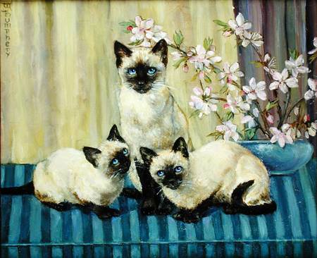 Three Siamese Cats de Winifred Humphery