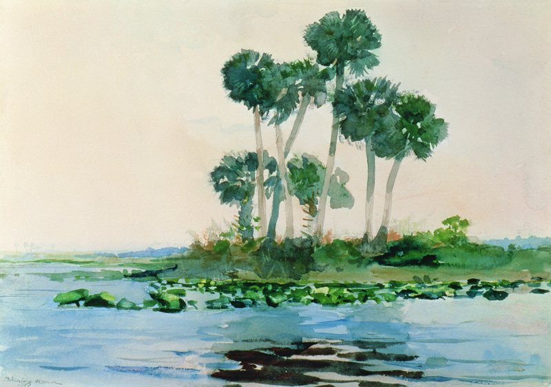 St. John's River Florida de Winslow Homer