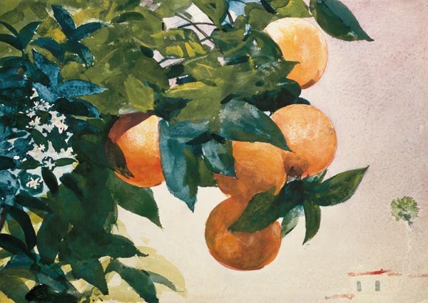 Branch with oranges de Winslow Homer
