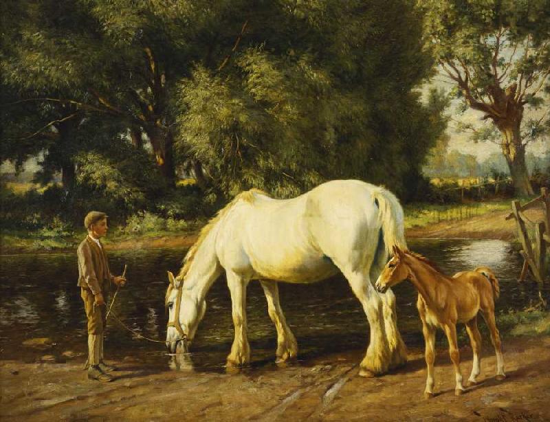 Eine Stute mit ihrem Fohlen an einer Furt. de Wright Barker