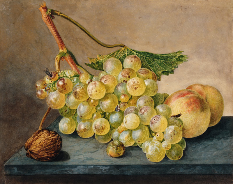 A Bunch of Grapes, a Nut and Two Peaches de Wybrand Hendriks