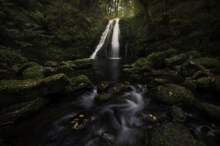 A Graceful Waterfall