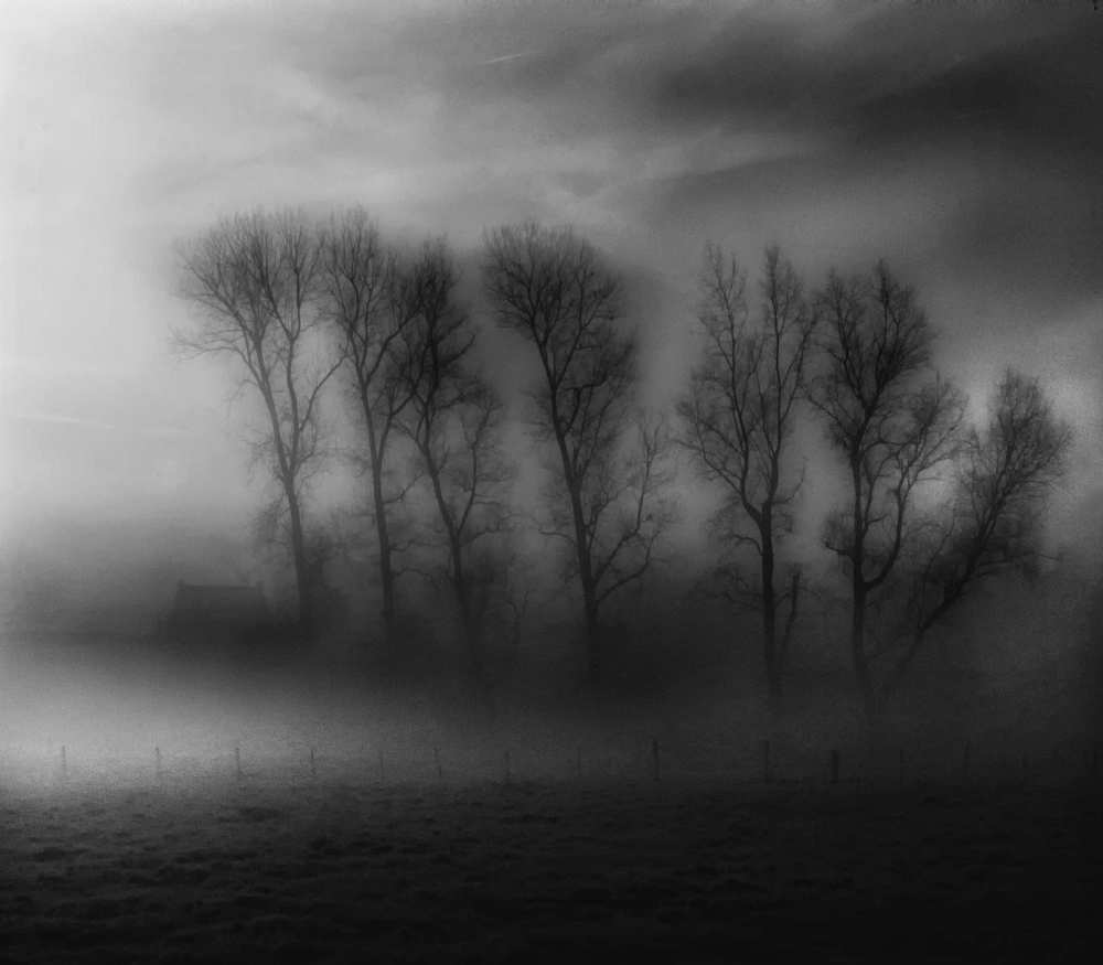 50 Shades of Fog de Yvette Depaepe