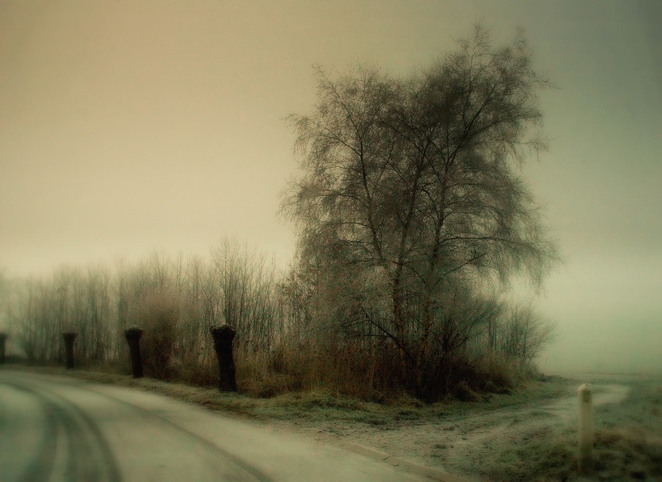 Nature\s silent wintertime de Yvette Depaepe