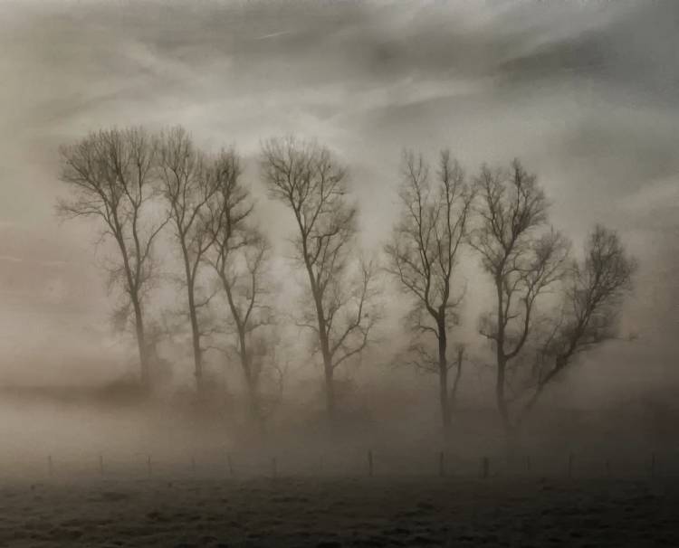 How nature hides the wrinkles of her antiquity under morning fog and dew de Yvette Depaepe