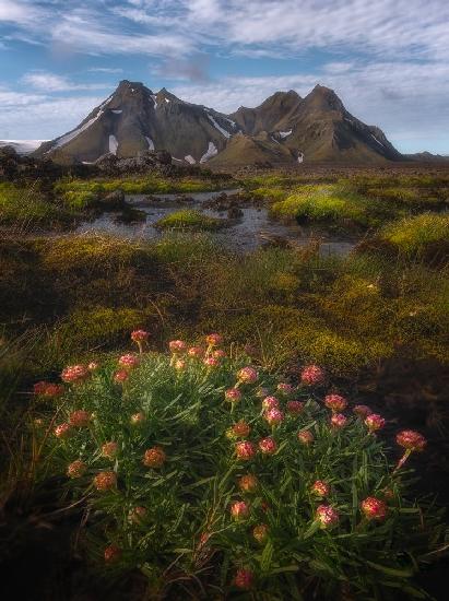 The Highlands of Iceland